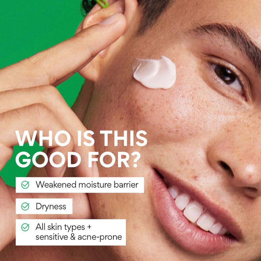 Innisfree Green Tea Seed Hyaluronic Cream 50ml