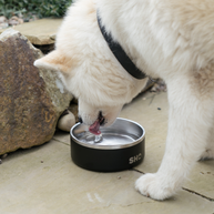 SHO Stainless Steel Pet Bowl